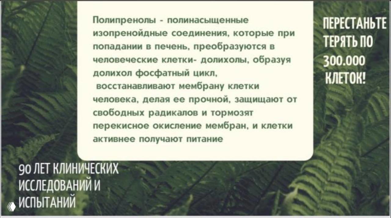 Как полипренолы взаимодействуют с организмом?