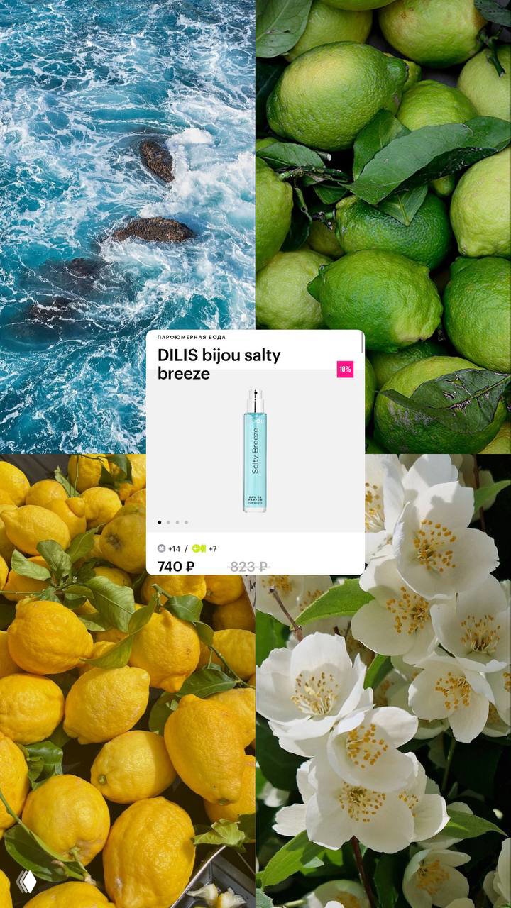 Морская текстура, зелёные плоды и лимоны с карточкой аромата DILIS bijou salty breeze — свежая морская и цитрусовая композиция.