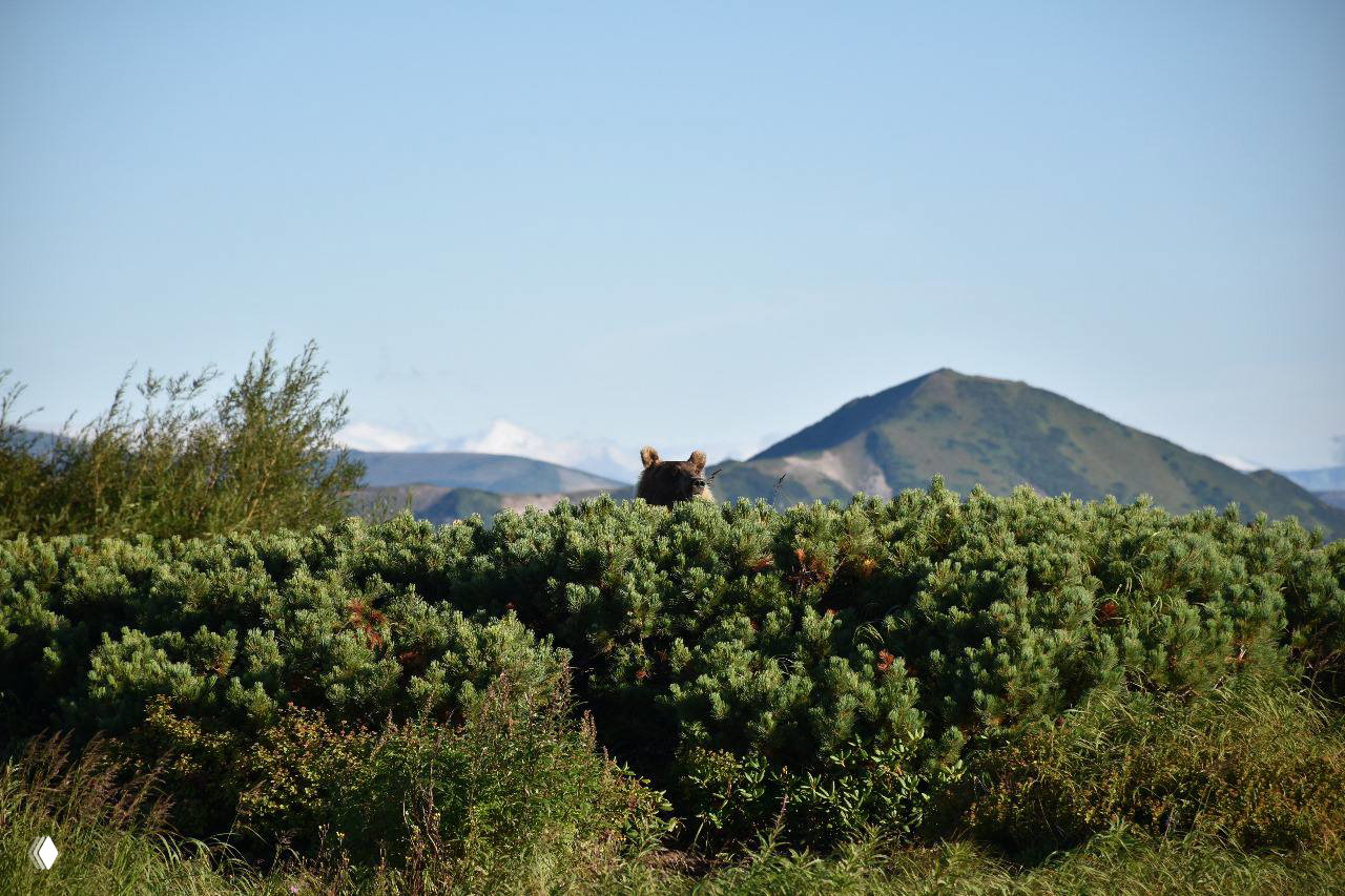 Самый частый вопрос