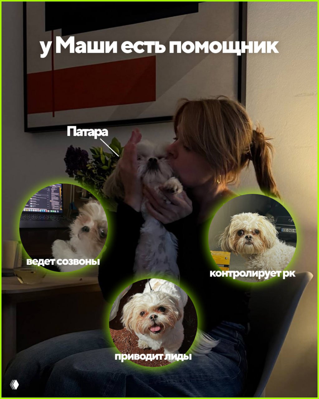 Маша обнимает маленькую собаку в кадре; коллаж показывает помощника 'Патара' с подписями про созвоны, контроль рк и приведение лидов.
