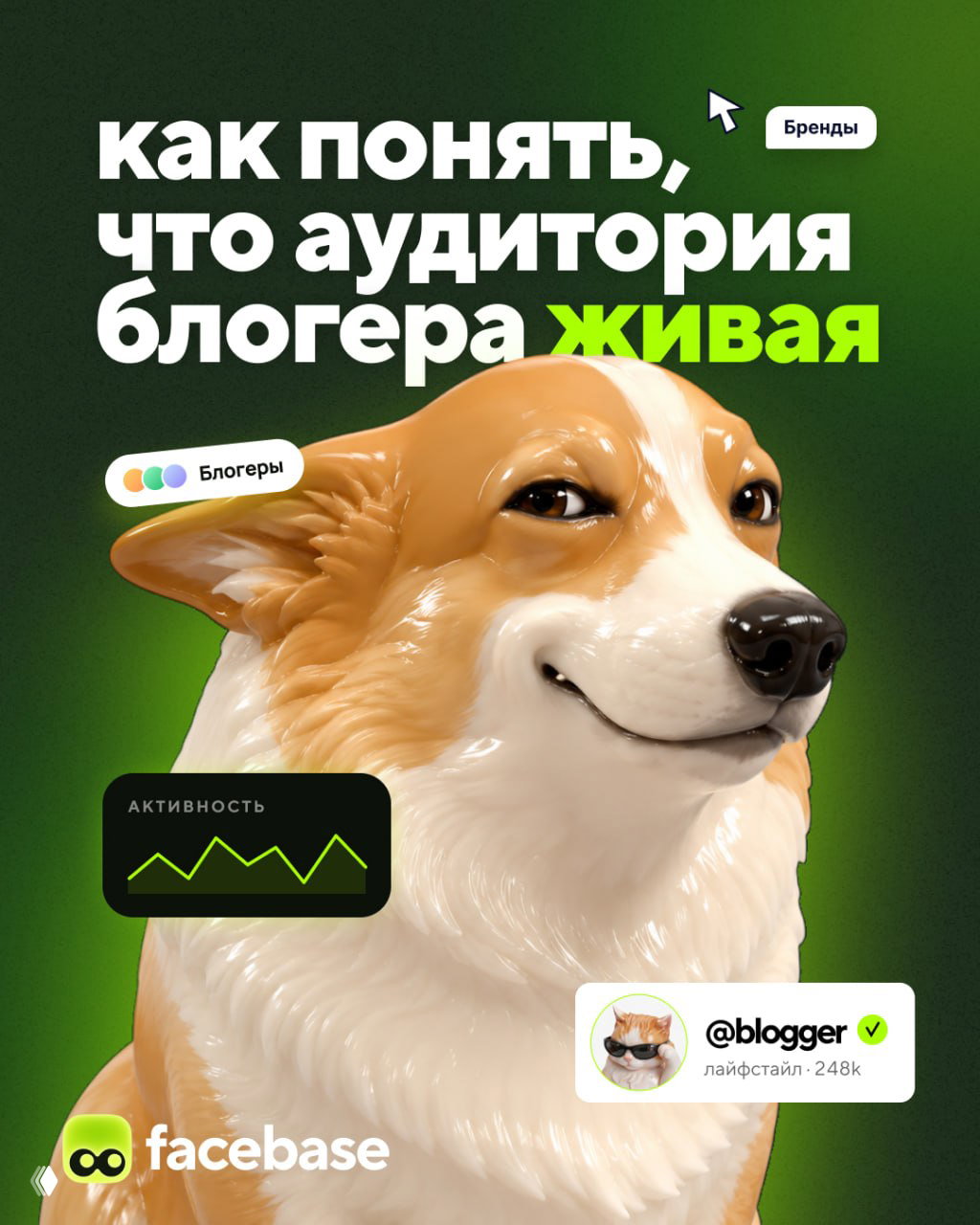Как понять, что аудитория блогера живая?
